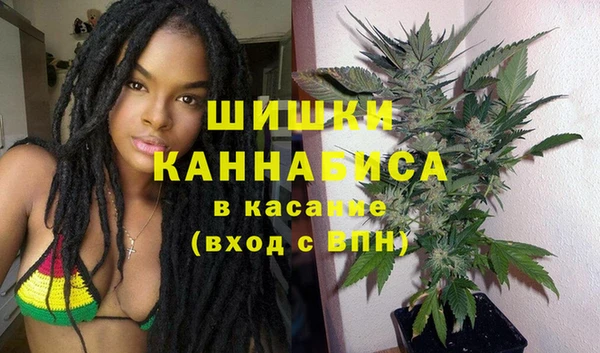 бошки Верхний Тагил