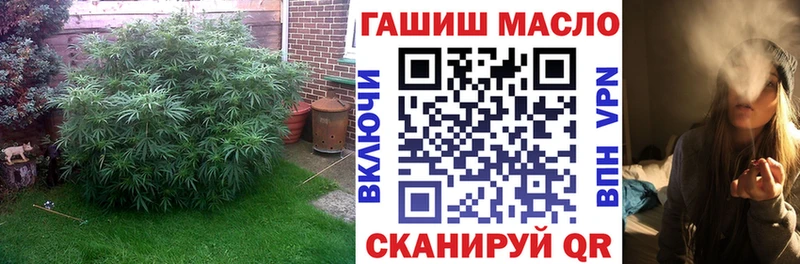 ТГК THC oil  купить закладку  Меленки 