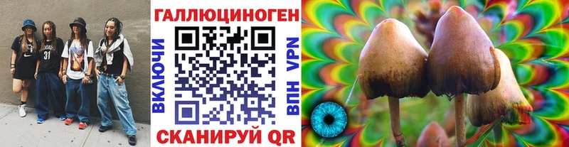 как найти закладки  Меленки  Галлюциногенные грибы мицелий 